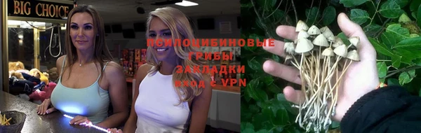скорость Новозыбков