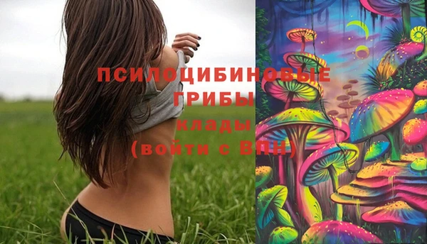 бошки Балахна