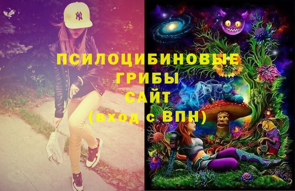 бошки Балахна