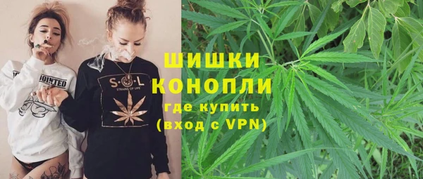 скорость Новозыбков
