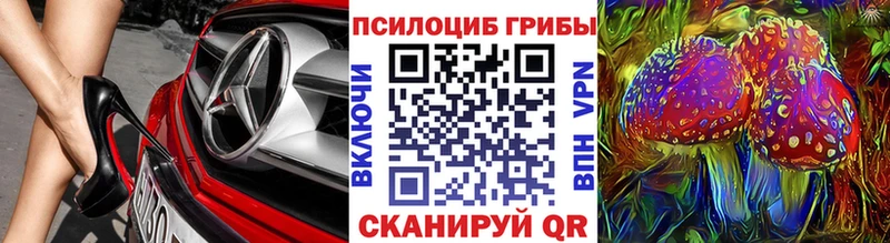 купить   Кореновск  маркетплейс как зайти  Псилоцибиновые грибы Magic Shrooms 